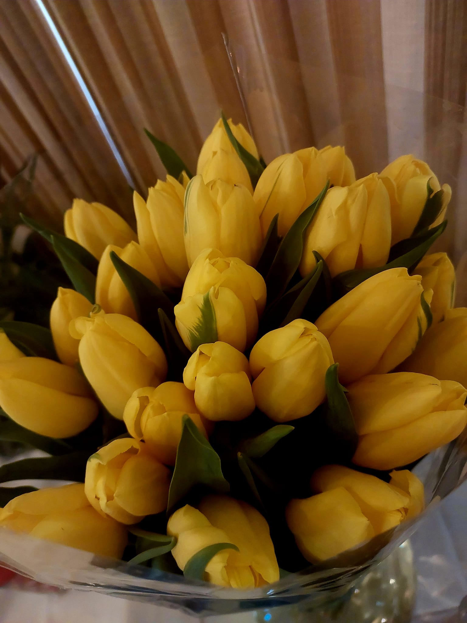 A bouquet of tulips for the Author of the photos.