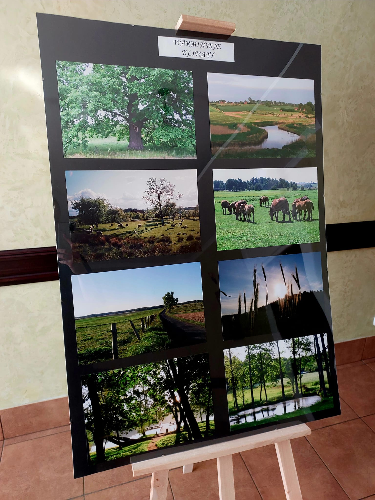 Photos from the series of Warmian climates - water, forest, meadows and pastures.